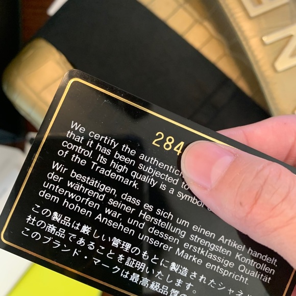 Chanel Gabrielle Embossed Croc Size Small - Picture 11 of 11